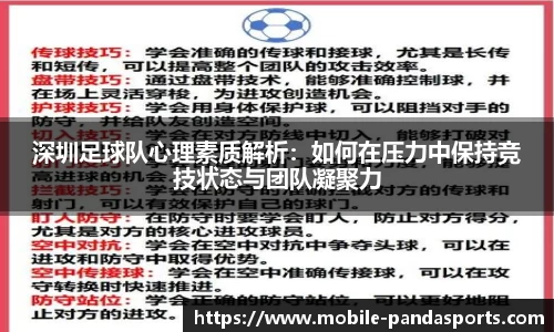 深圳足球队心理素质解析：如何在压力中保持竞技状态与团队凝聚力